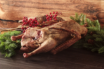 Фото Гусь (дикий) весенний