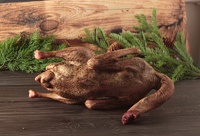 Превью Гусь (дикий) весенний