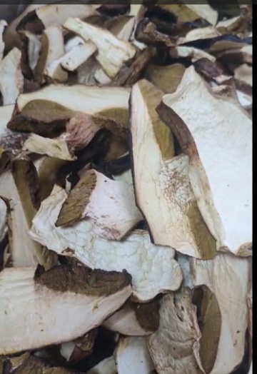 Сушеные белые грибы Фото Сушеные белые грибы