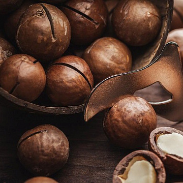 Макадамия неочищенная Фото Макадамия неочищенная